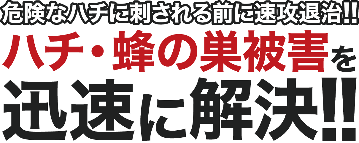 危険なハチに刺される前に速攻退治!! ハチ・蜂の巣被害を迅速に解決!!